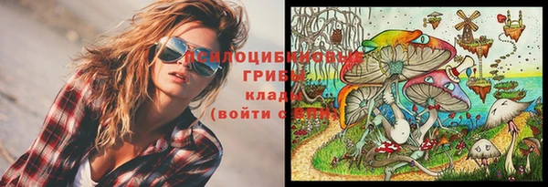прущие крисы Алзамай