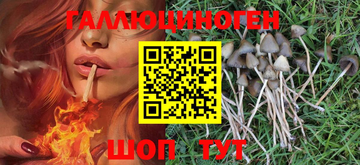 Ставрополь  где продают наркотики  Вход с VPN  Псилоцибиновые грибы Magic Shrooms 