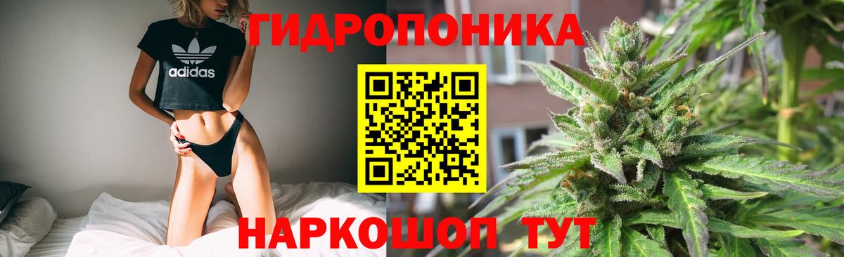 Бошки Шишки VHQ Ставрополь